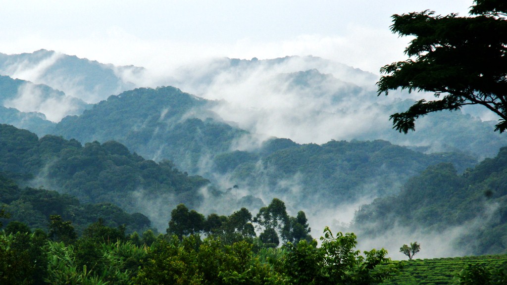 bwindi-impenetrable-forest Bwindi Impenetrable National Park is one of the most unforgettable attractions in East Africa