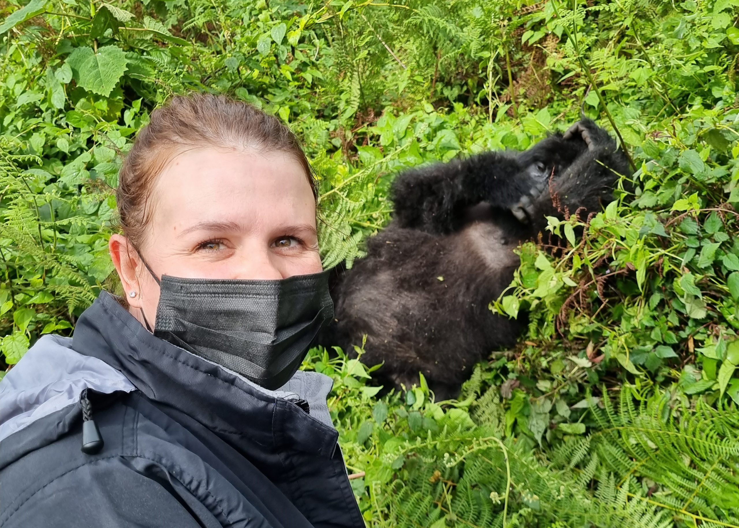 Allison-bothma-gorilla-trekking-rwanda-2