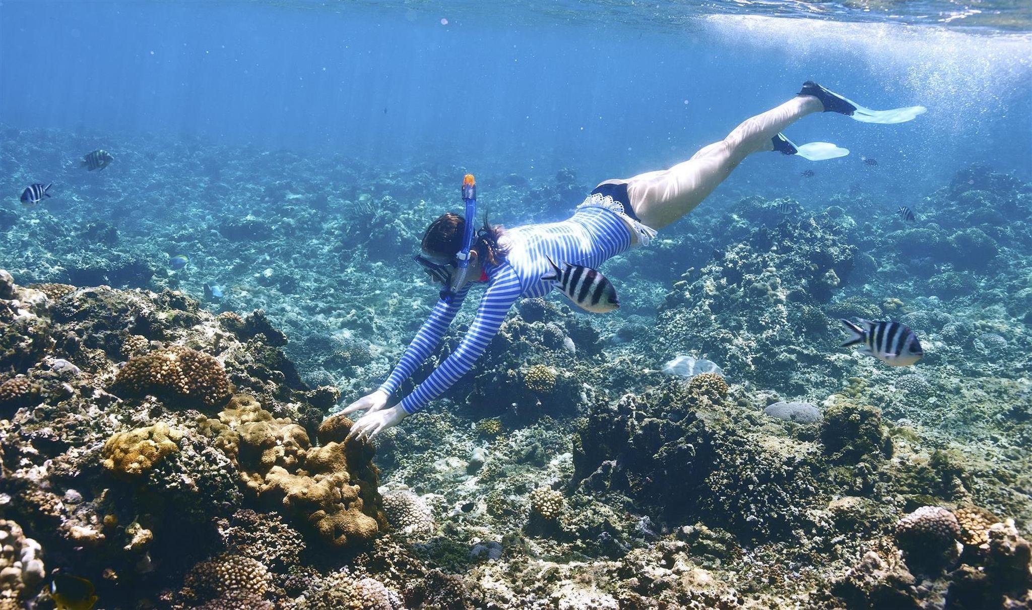 woman-snorkelling-seychelles Woman snorkelling in Seychelles’ clear waters – an example of impactful travel experiences that promote marine conservation and eco-tourism