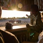 Wildlife Photography Safari in Botswana: Capture the Wild
