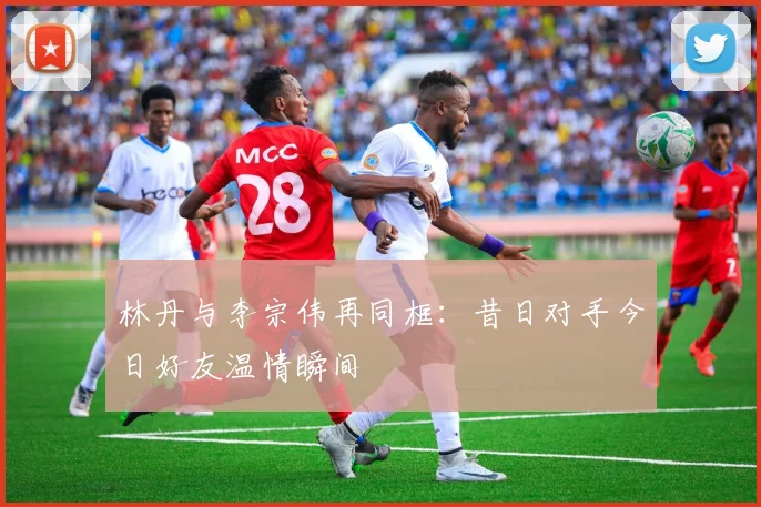 林丹与李宗伟再同框:昔日对手今日好友温情瞬间