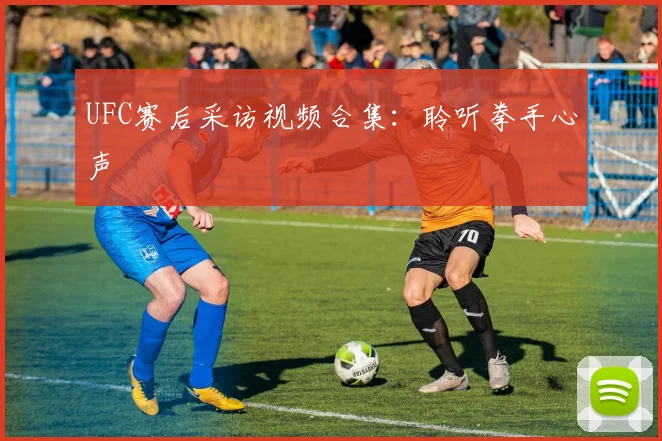 UFC赛后采访视频合集：聆听拳手心声