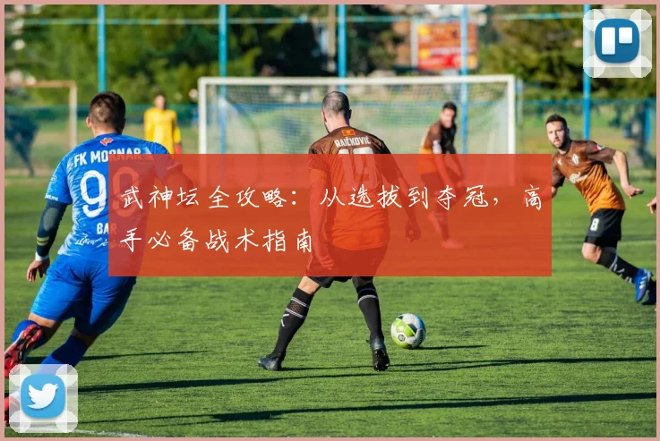 武神坛全攻略:从选拔到夺冠,高手必备战术指南