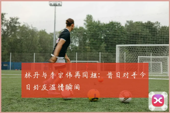 林丹与李宗伟再同框:昔日对手今日好友温情瞬间
