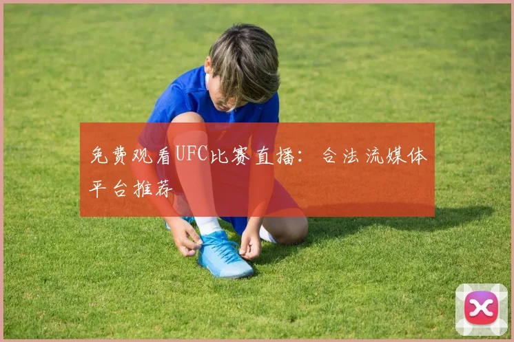免费观看UFC比赛直播：合法流媒体平台推荐