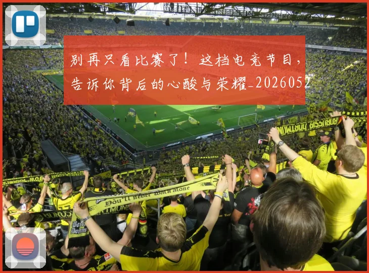 别再只看比赛了!这档电竞节目,告诉你背后的心酸与荣耀_20260526073157