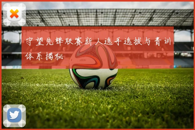 守望先锋联赛新人选手选拔与青训体系揭秘