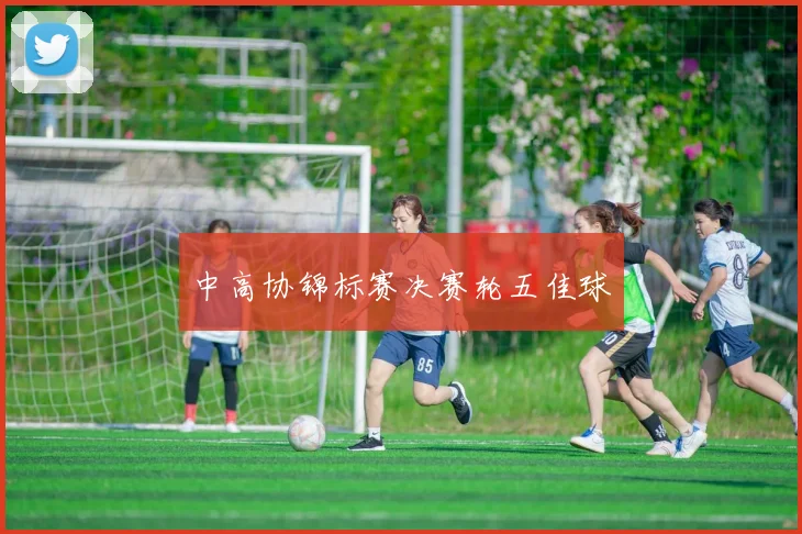 中高协锦标赛决赛轮五佳球