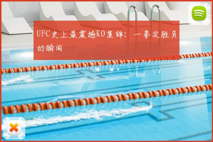 UFC史上最震撼KO集锦：一拳定胜负的瞬间