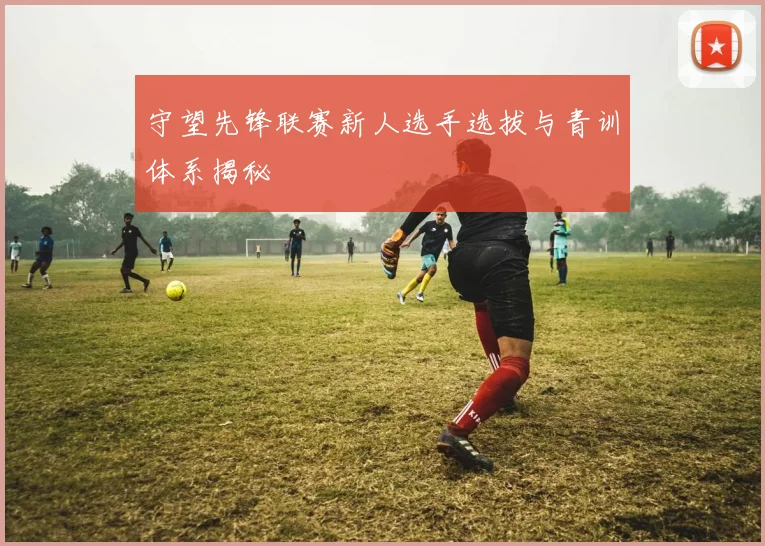 守望先锋联赛新人选手选拔与青训体系揭秘